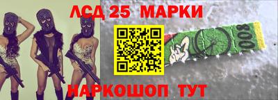 дмт Гай