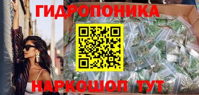 дмт Гай