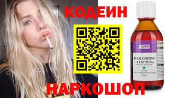 дмт Гай
