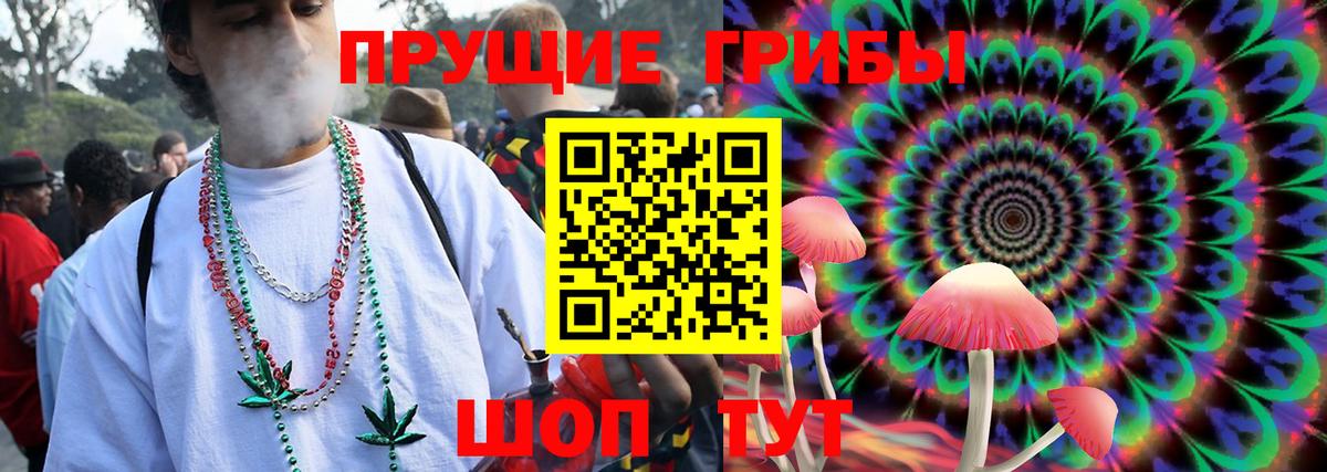 Псилоцибиновые грибы Psilocybe Муравленко
