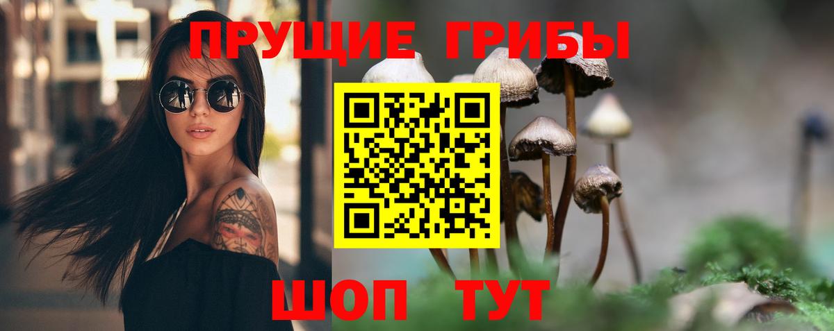 Муравленко  Галлюциногенные грибы прущие грибы  Вход с VPN 