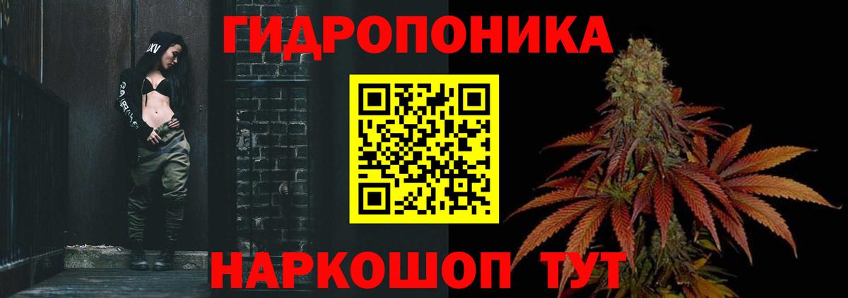 Муравленко  Каннабис сатива  Марихуана OG Kush  Бошки марихуана White Widow  Вход с VPN 